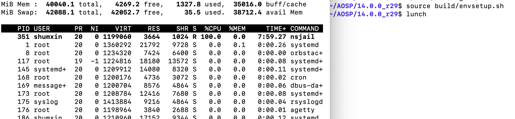 nsjail-100-percent-cpu